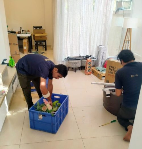 Professional Packing by City Connect Packers